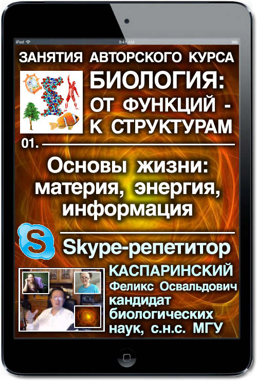 Skype-консультация Ф.О.Каспаринского "Материя, энергия, информация, жизнь. Уровни организации живых систем"